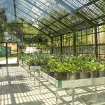 Greenhouse